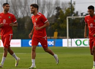 تجمع إعدادي للأسود قبل مواجهتي إفريقيا الوسطى