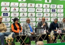 بالصور …سباق نصف ماراطون تامسنا الدولي … شهادة اعتراف من الاتحاد الدولي