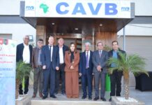 بالصور.. الجمعية العمومية للمنطقة -أ- للاتحاد الإفريقي لكرة الطائرة