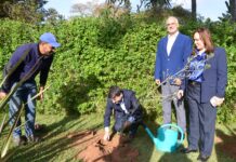 بالصور .. .إشادة دولية بمجهودات المغرب في مجال التنمية المستدامة والبيئة وتطوير كرة الطائرة إفريقيا