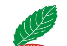 جامعة الريكبي تعقد جمعها العام وانطلاق البطولة بداية نونبر القادم