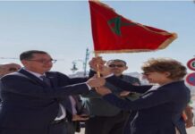 من طنجة الى الداخلة.. الأبطال الأولمبيون يحملون شعلة الخمسين سنة على انطلاق المسيرة الخضراء المظفرة