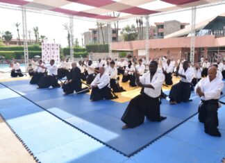 إفريقيا موحَّدة بقوة وروح الفنون القتالية