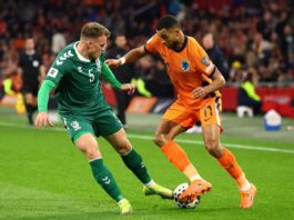 هولندا تتأهل إلى كأس العالم 2026