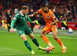 هولندا تتأهل إلى كأس العالم 2026