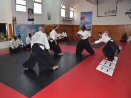 بالصور/ اختتام المهرجان الإفريقي الأول للفنون القتالية بالرباط