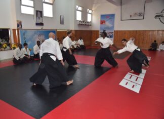 بالصور/ اختتام المهرجان الإفريقي الأول للفنون القتالية بالرباط