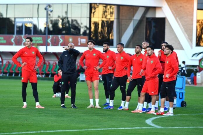 23a0af61-ba29-4eb8-b8c4-a2d44e78bb9f-768x512