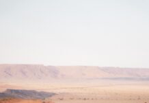 ماراطون الرمال 2026: مشاركة قياسية في نسخة تاريخية