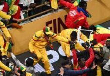 محكمة الاستئناف تؤيد الأحكام الابتدائية في حق المتورطين في شغب نهائي كأس أمم إفريقيا