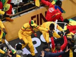 محكمة الاستئناف تؤيد الأحكام الابتدائية في حق المتورطين في شغب نهائي كأس أمم إفريقيا