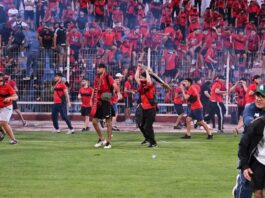 الكاف تحيل أحداث شغب الجماهير الجزائرية للجنة الانضباط