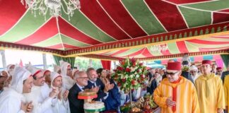 عيد العرش يجمع أسود الأطلس بجلالة الملك بعد ملحمة مونديال 2026