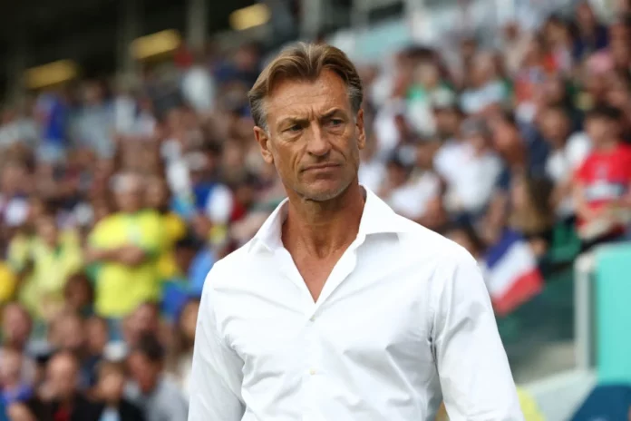 herv-renard-1765792761