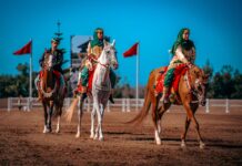 الخيالة السلطانية لسلطنة عمان تشارك لأول مرة في معرض الفرس للجديدة