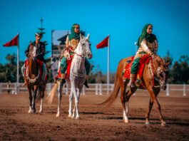 الخيالة السلطانية لسلطنة عمان تشارك لأول مرة في معرض الفرس للجديدة