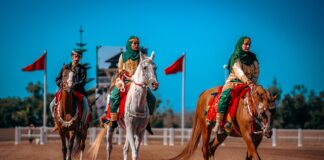 الخيالة السلطانية لسلطنة عمان تشارك لأول مرة في معرض الفرس للجديدة
